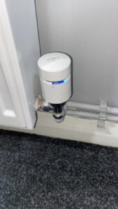 Case study Dog & Bone