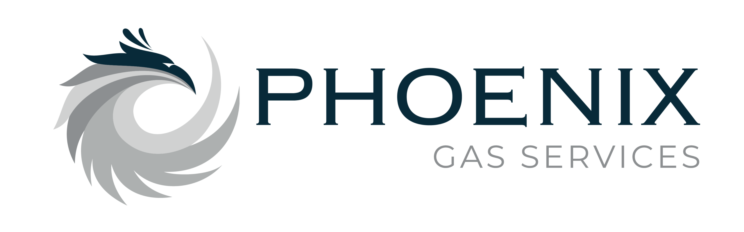 Phoenix Gas Services Ltd logo